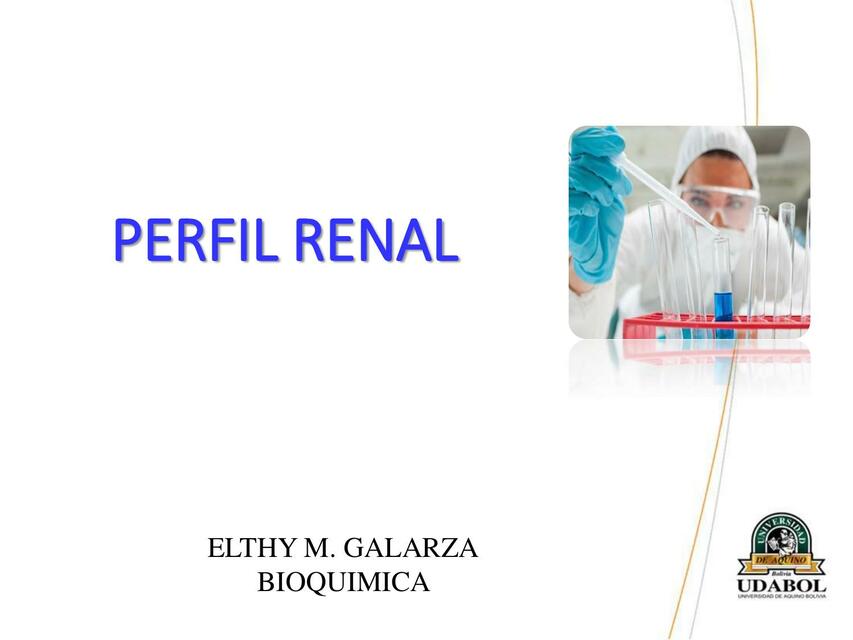 PERFIL RENAL