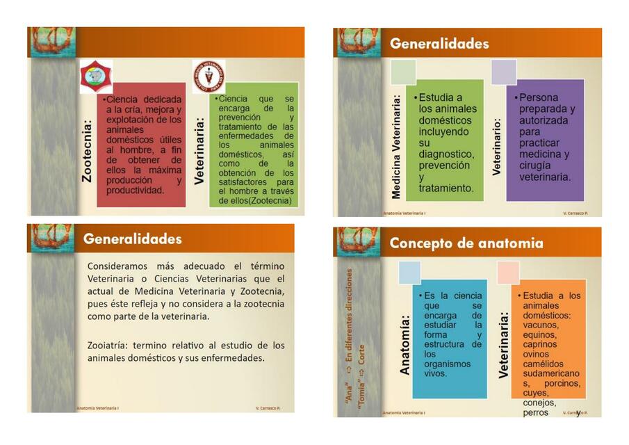 Anatomia 1 Ppt Vantaegguk R F Udocz