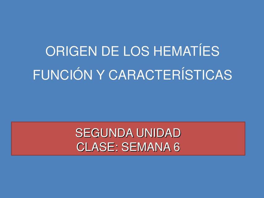 2 6 ORIGEN DE LOS HEMATIES FUNCION Y CARACTERISTIC