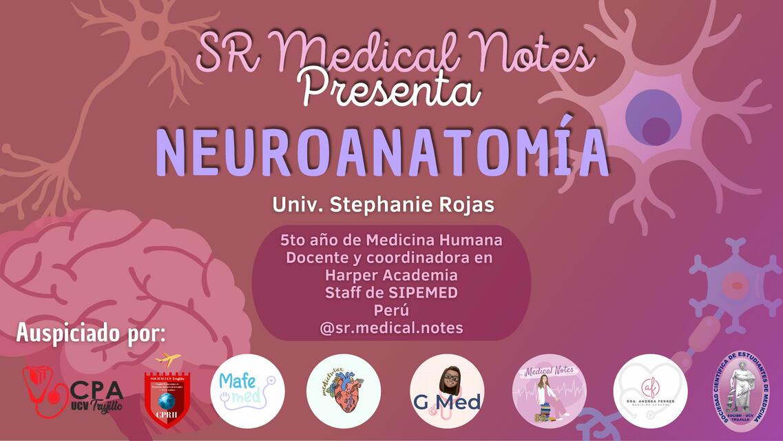 Neuroanatomía