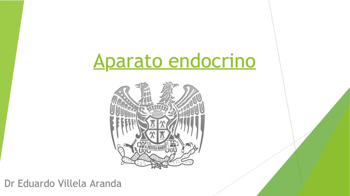 Aparato Endocrino