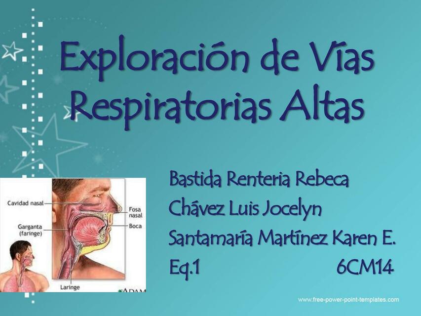 Exploración de Vías Respiratorias Altas