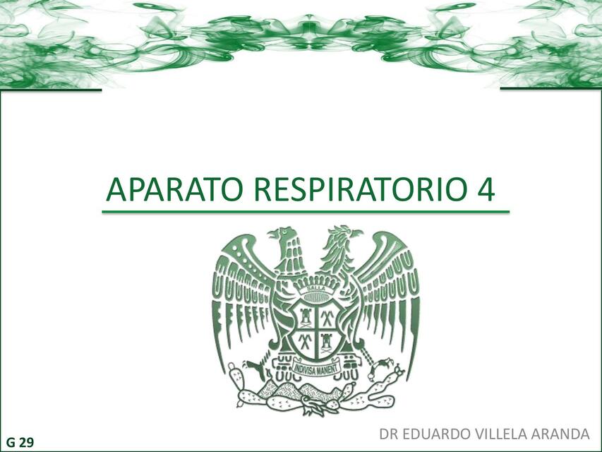 Clase 29 G29 Respiratorio 4 NAC ASMA EPOC