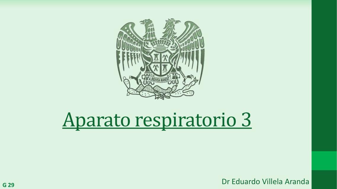 Clase 28 G29 Respiratorio 3 VRB