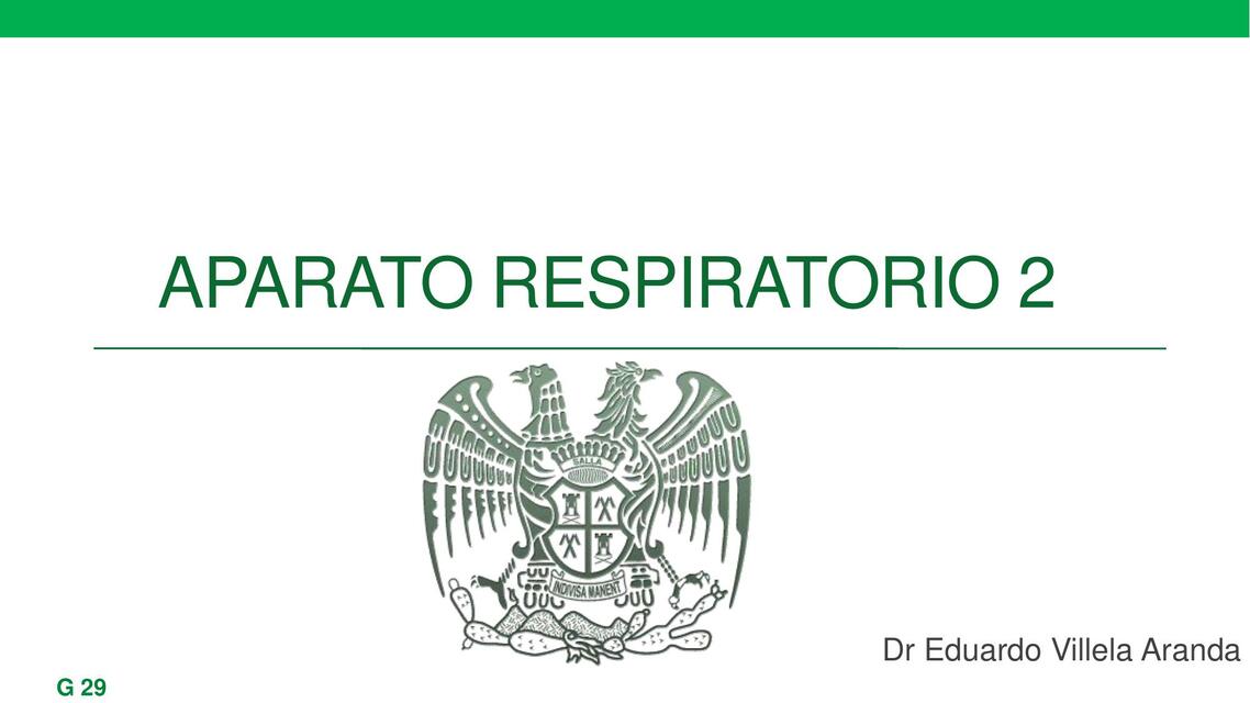 Clase 27 G29 Respiratorio 2 VRA