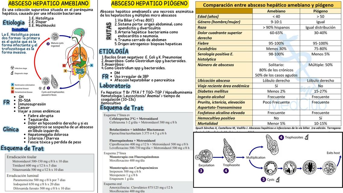 ABSCESO HEPATICO