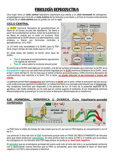 Ginecología Completa