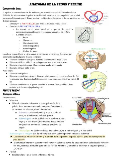 Ginecología