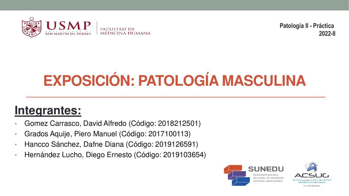 Patología Masculina - Práctica de Patología II USMP