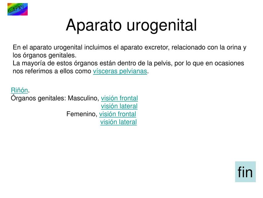 INTRODUCCIÓN: Aparato genitourinario