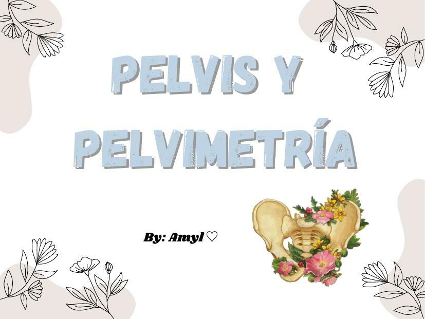 PELVIS Y PELVIMETRÍA