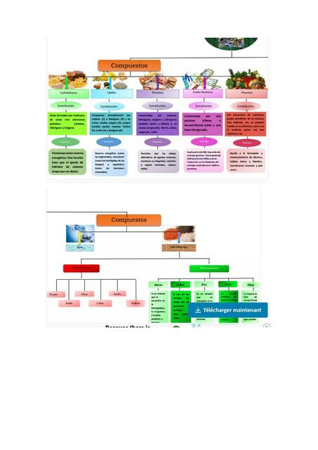 ETICA Y VALORES