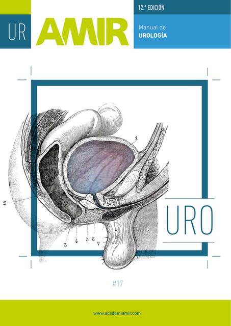 Urología AMIR 12 Ed