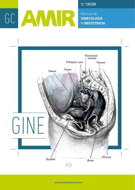 Ginecología AMIR 12 Ed