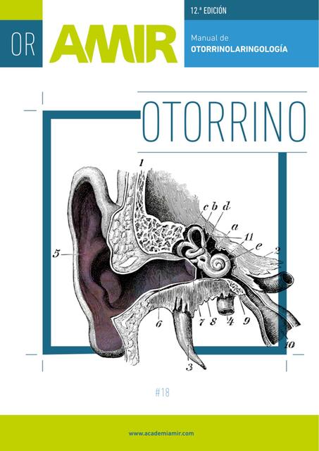 Otorrinología AMIR 12 Ed