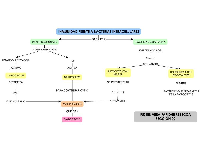 BACTERIAS INTRACELULARES