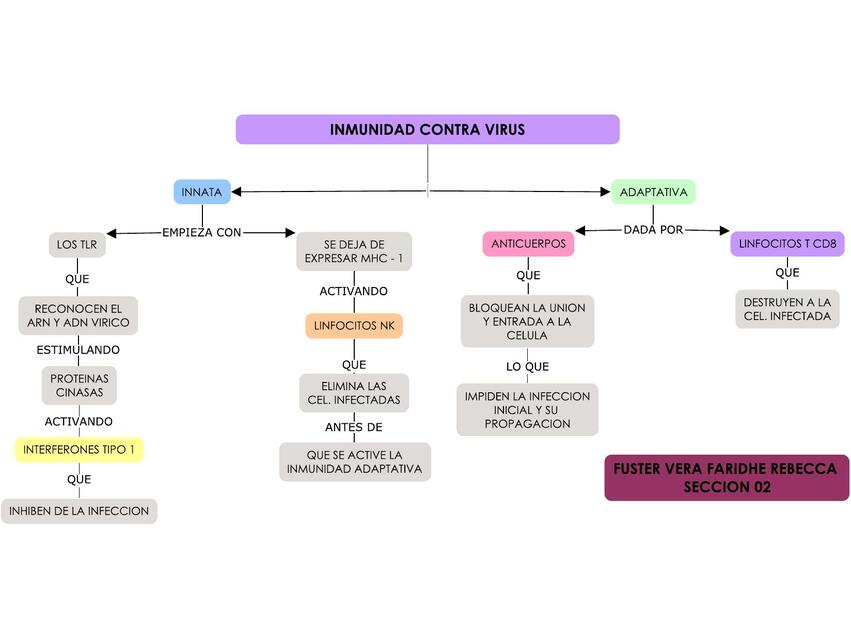 INMUNIDAD CONTRA VIRUS