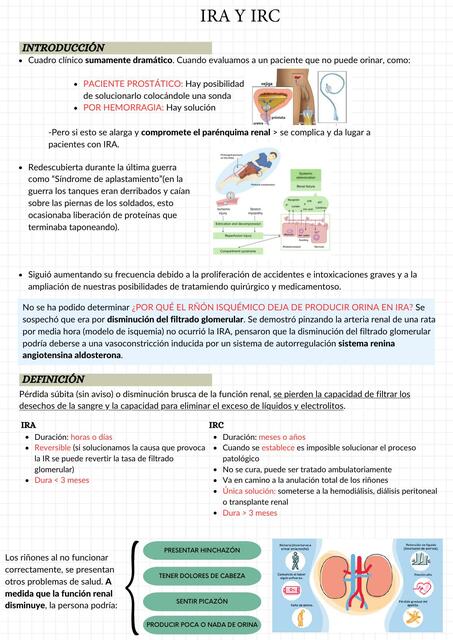 FISIOPATOLOGÍA - IRA Y IRC