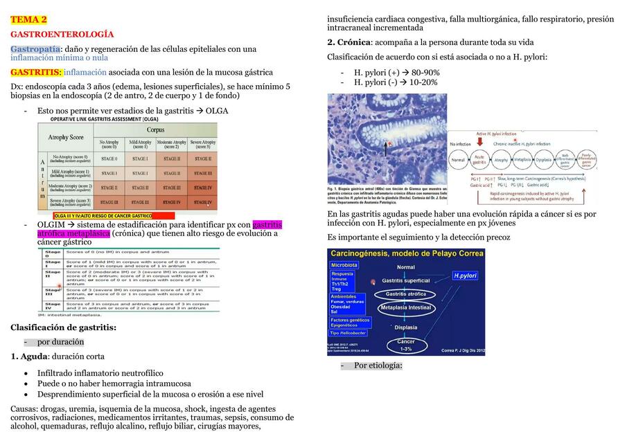 FISIOPATOLOGÍA - GASTROENTEREOLOGÍA