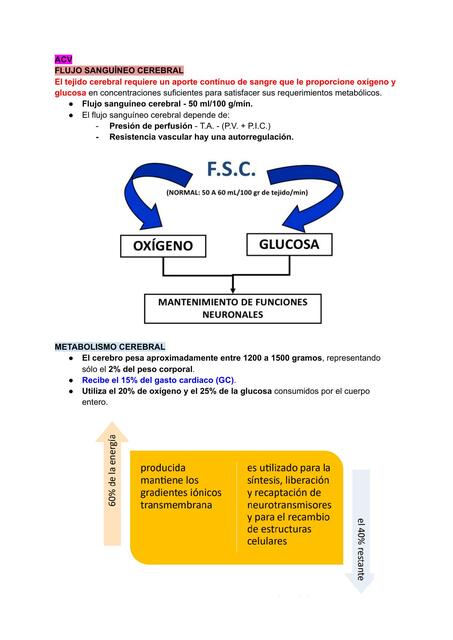 FISIOPATOLOGÍA- ACV