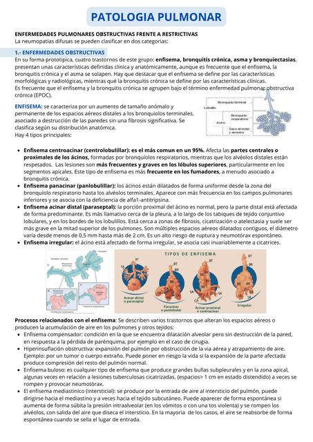 PATOLOGÍA - PULMONAR