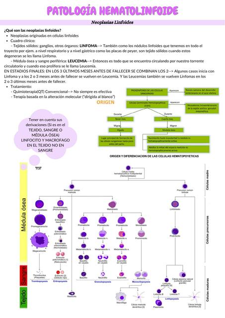 PATOLOGÍA HEMATOLINFOIDE