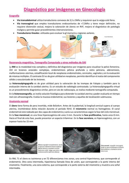 DXI en Ginecología