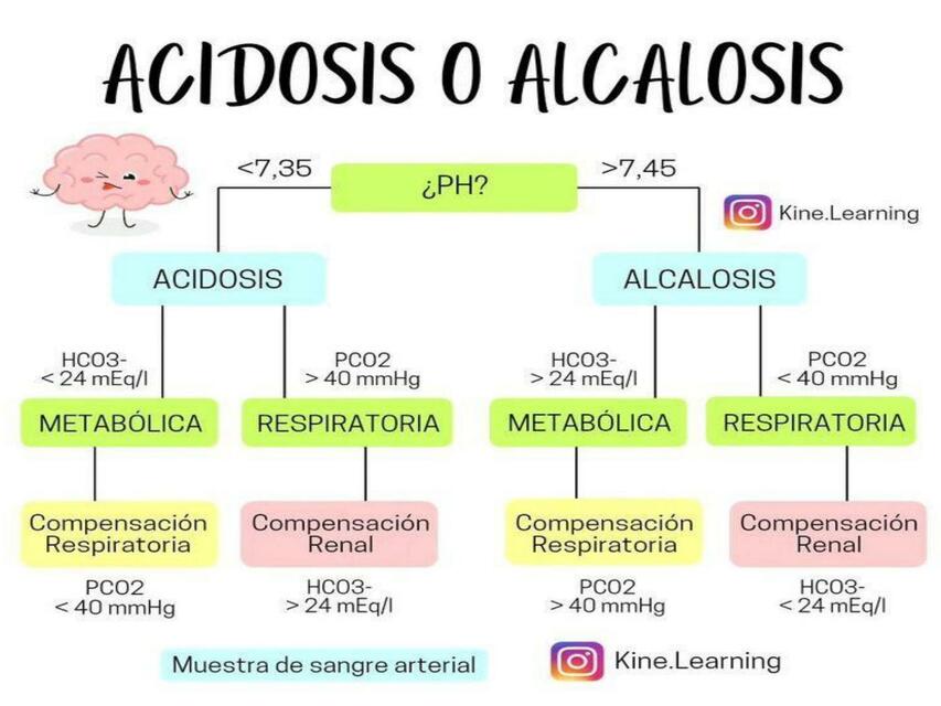 Acidosis o alcalosis