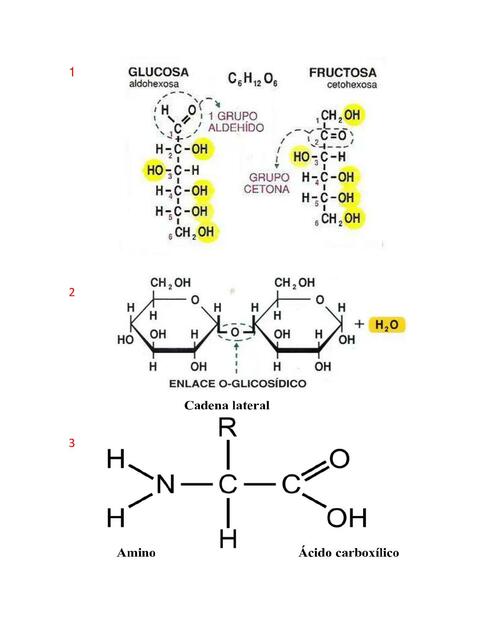 Química 