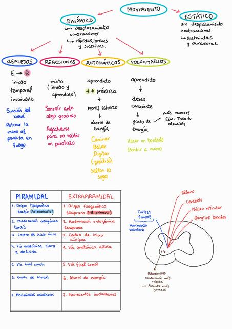 Repaso psicofisiología