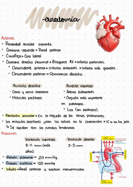 Repaso HTA