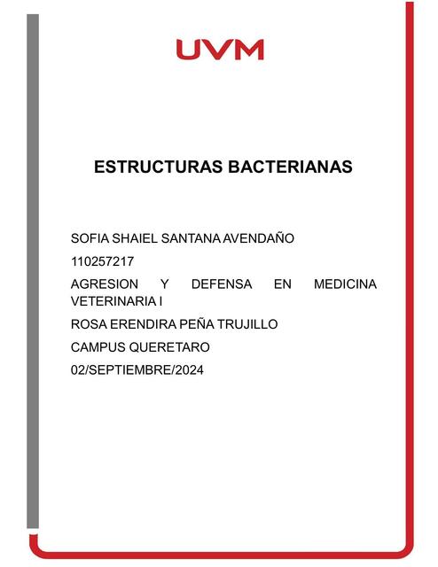 Estructuras bacterianas