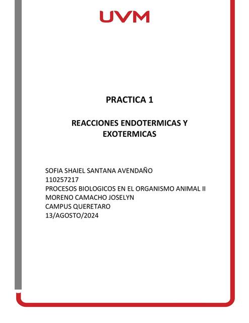 REACCIONES EXOTERMICAS Y ENDOTERMICAS