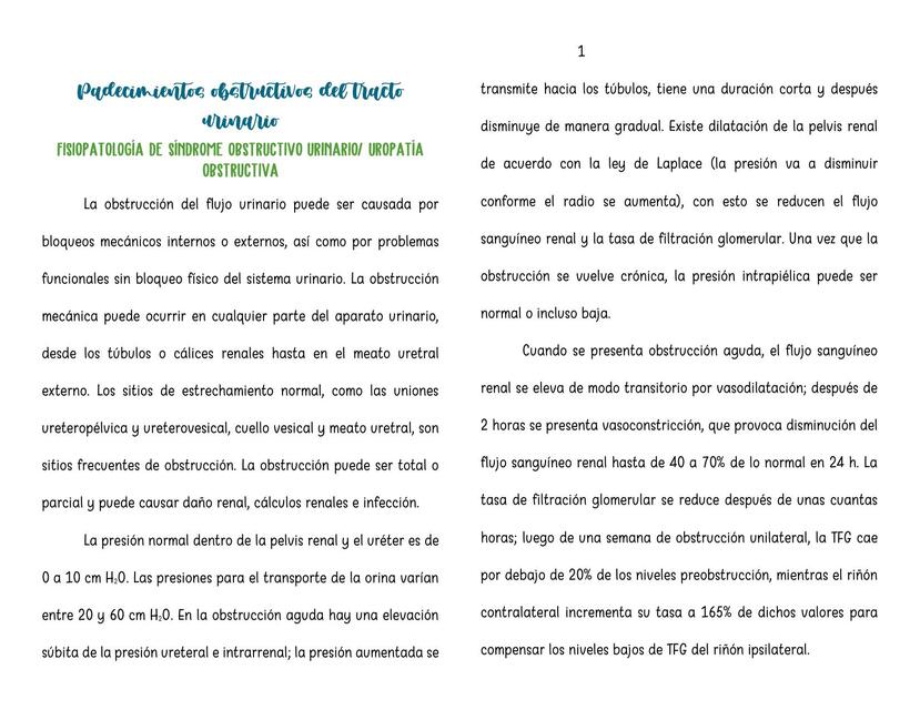 Padecimientos obstructivos del tracto urinario