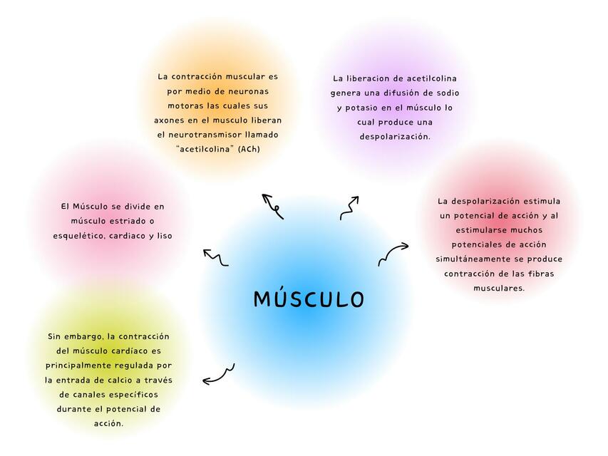 Grafico Mapa Conceptual Sencillo Multicolor 2