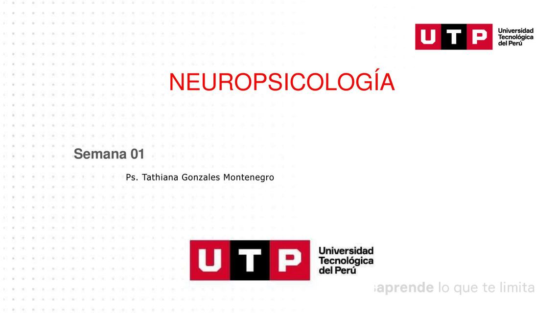 Introducción a la neuropsicología 