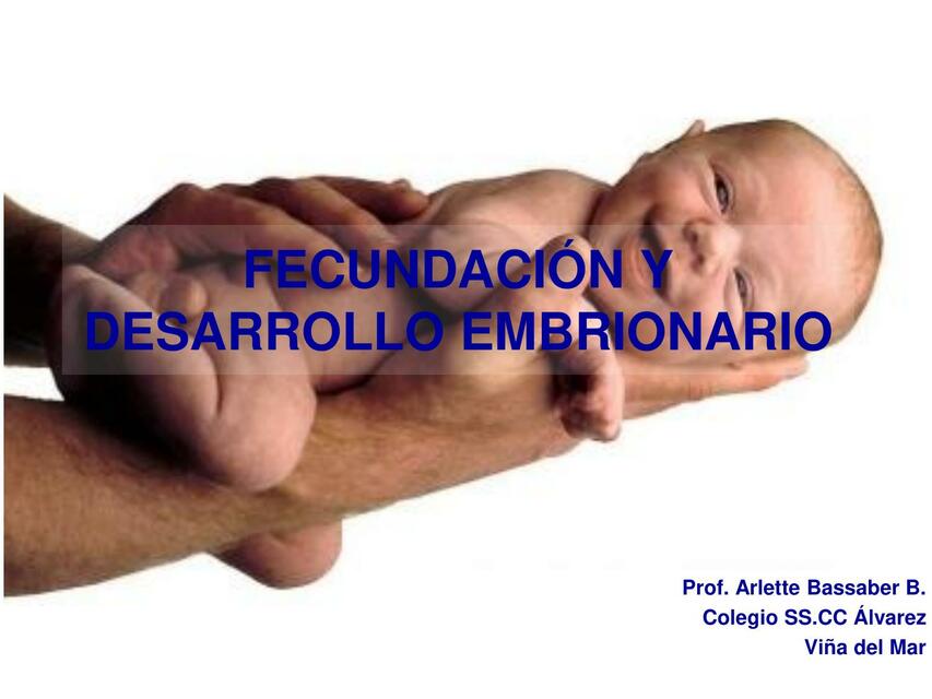 fecundacion dslloembrionario 1