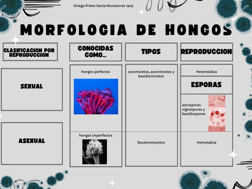 Bacteriologia