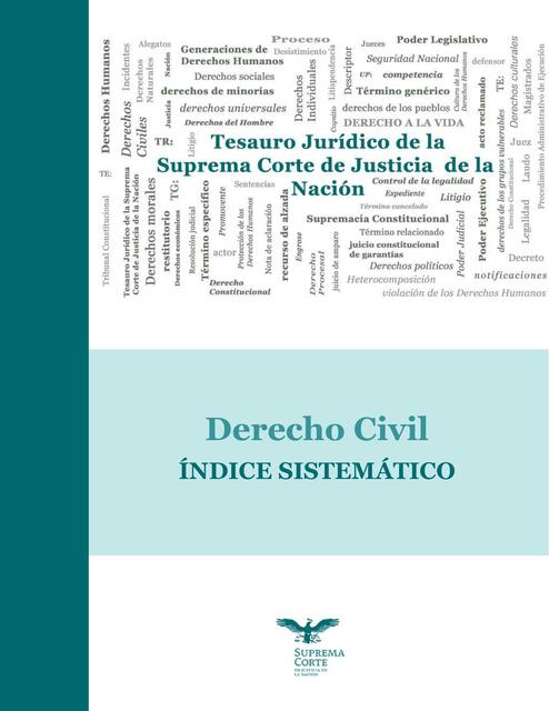 LIBRO DE DERECHO CIVIL 02 TJSCJN DerCivil