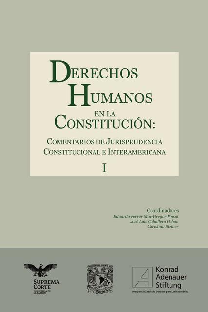 DERECHOS HUMANOS EN LA CONSTITUCION I