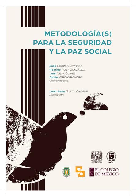 Metodologías para la seguridad y la paz social 