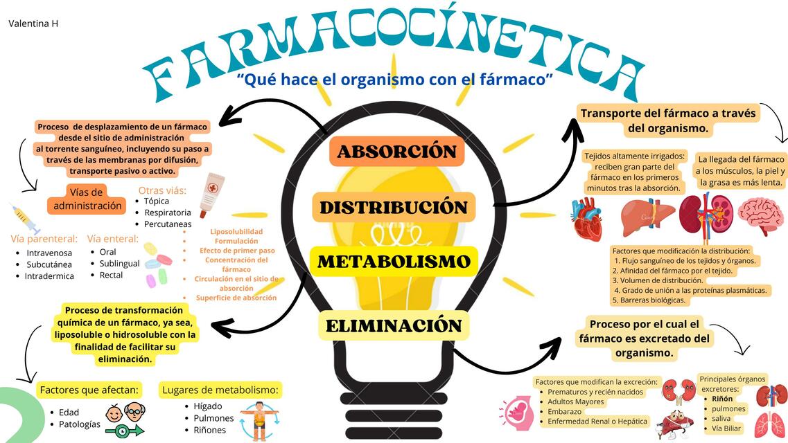 farmacocinetica