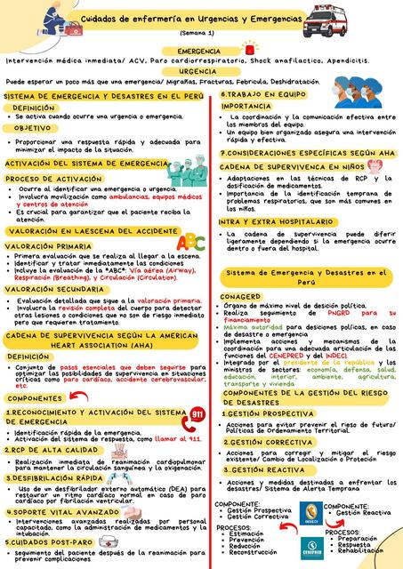 Emergencias y urgencias clase 1 apuntes