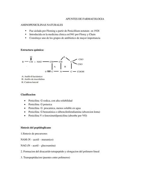 Penicilinas Naturales