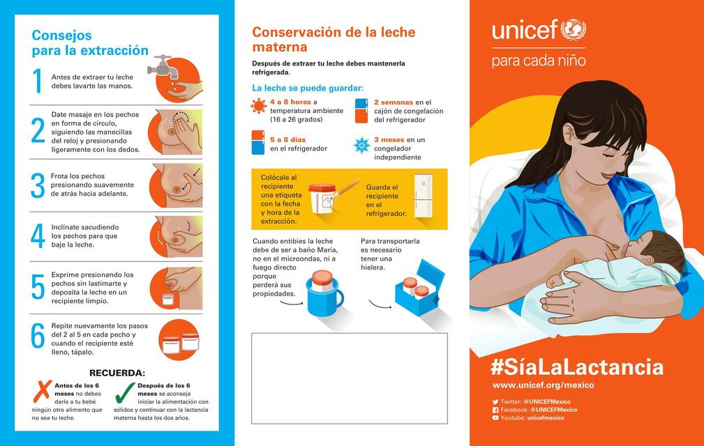 Consejos para una lactancia materna exitosa | Maria Yanez | uDocz