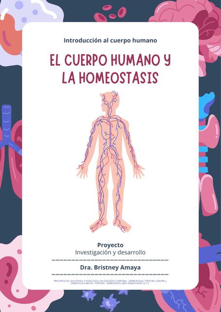 El cuerpo humano y la homeostasis