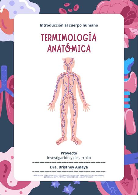 Terminología anatómica