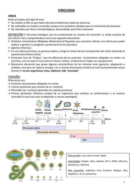 1 VIROLOGIA