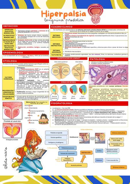 HIPERPLASIA BENIGNA DE PROSTATA - UROLOGIA