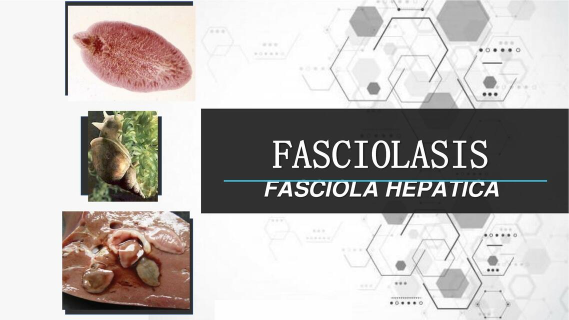 TEMA 11 FASCIOLA HEPATICA